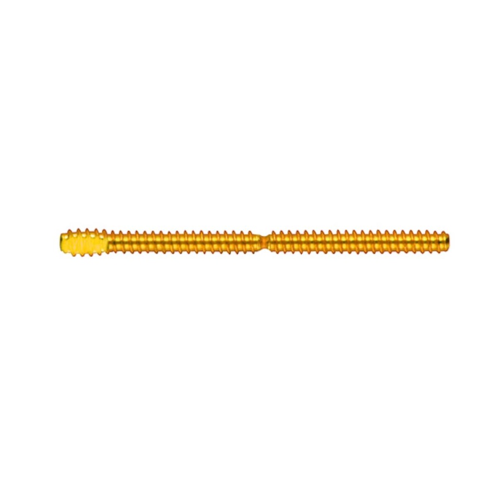TMS Complete-Kit, Minim Silver, Gold-Plated Stainless Steel, 2in1