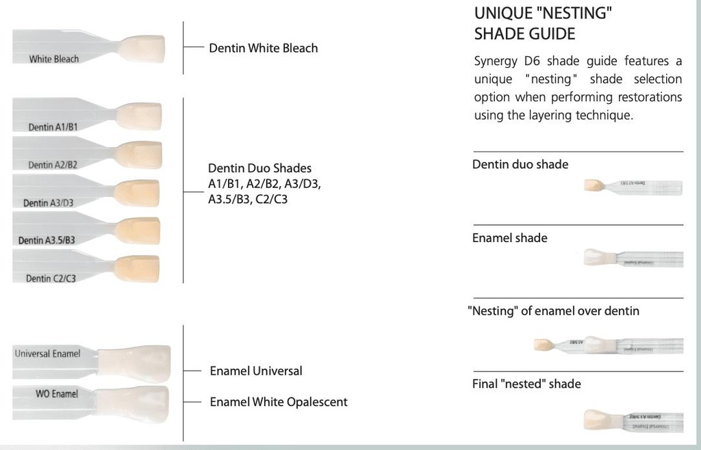 Synergy D6 Shade Guide