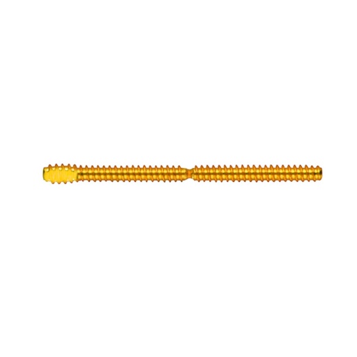 [T10] TMS Complete-Kit, Minim Silver, Gold-Plated Stainless Steel, 2in1