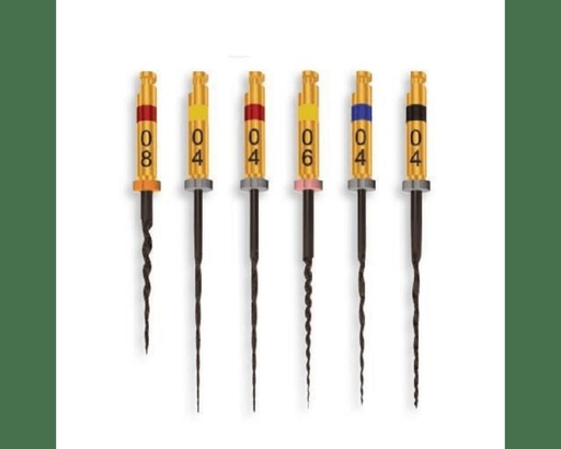 [H831MED] HyFlex CM NiTi File Assortment Medium, 31mm