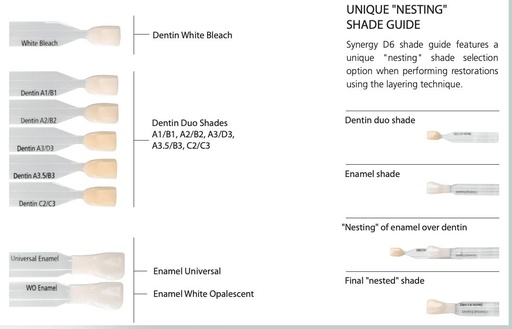 [8410] Synergy D6 Shade Guide