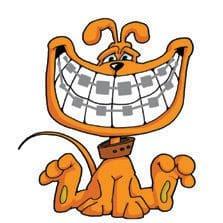 [Dog] Orthodontic Kits, 8-piece - Assorted, Dog