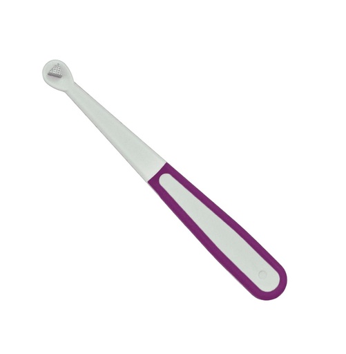 [61-113PM] Prodent Autoclavable Bite Stick