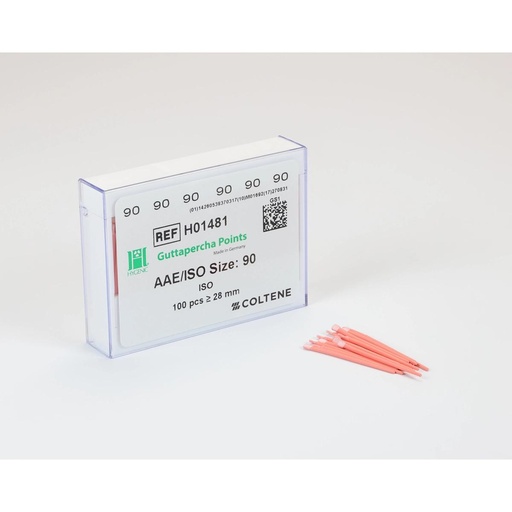 [60019141] HYGENIC Paper Points Greater Taper 0.06 #40