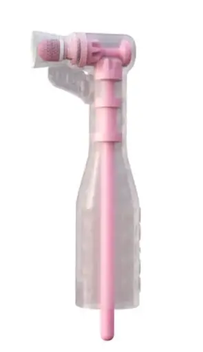 [LSFAB-100] Lotus Prophy Brush, 100/Box